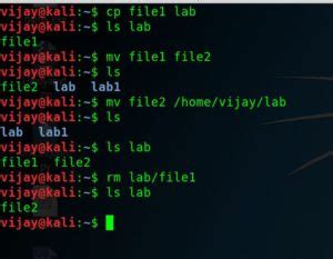 termux kali linux commands
