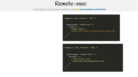 terraform remote exec script example