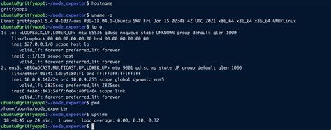 terraform shell script example