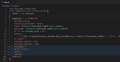 terraform which language