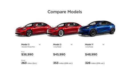 tesla cost basic model