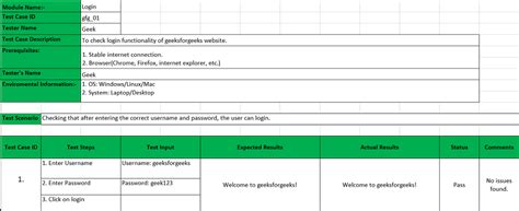 test case document example