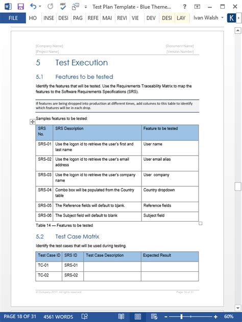 test strategy document example word