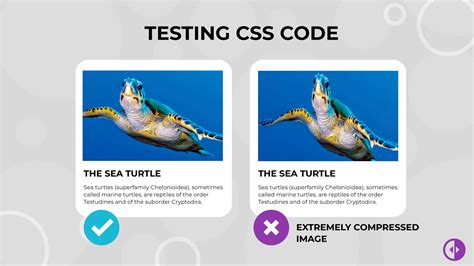 testing css code