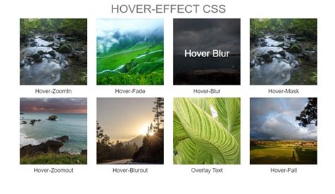 text hover effects bootstrap