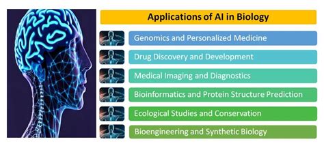 the application of artificial intelligence to biology and neuroscience