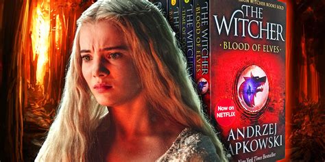 the witcher book plot