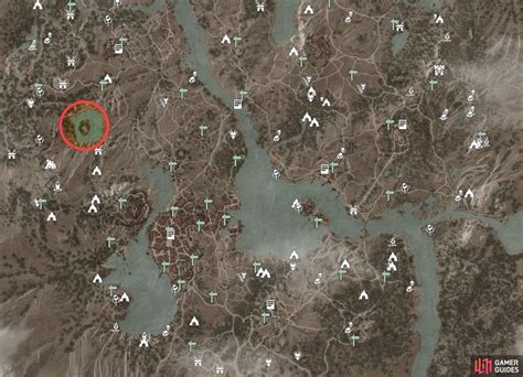 There Can Be Only One Witcher 3 Walkthrough