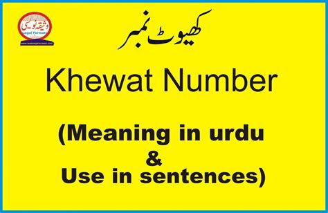 this number is mine meaning in urdu