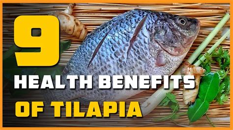 health benefits of tilapia fish