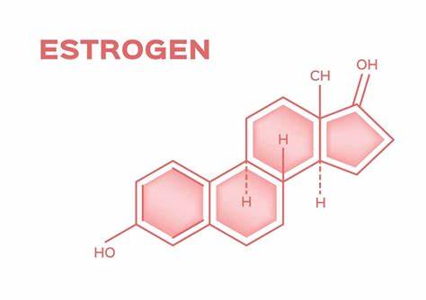 tingkat hormon estrogen pada wanita
