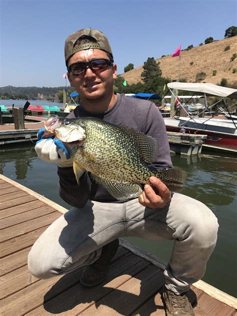 Tips for Lake Chabot Fishing
