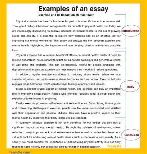 title introduction body conclusion example