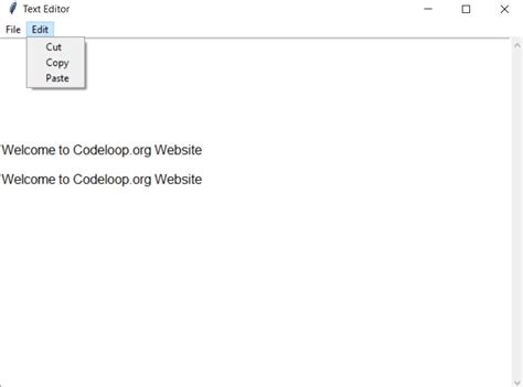 tkinter text box options