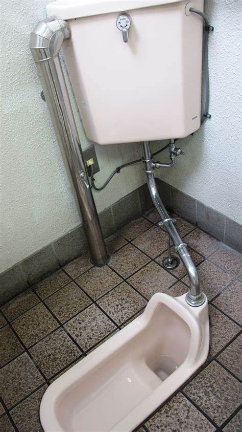 Western-Style Toilet