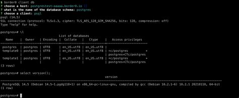 tool to access postgres db