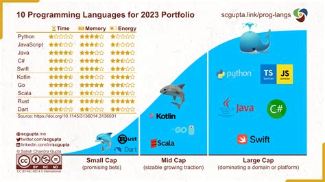 top 10 in demand programming languages 2025