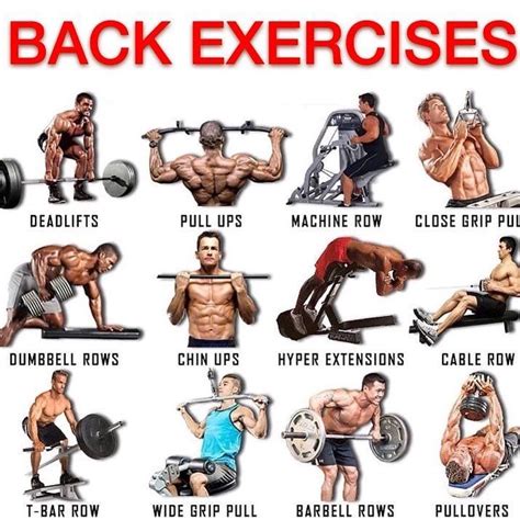 top 3 best back exercises