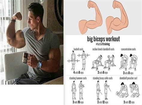 top 5 bicep exercises with dumbbells