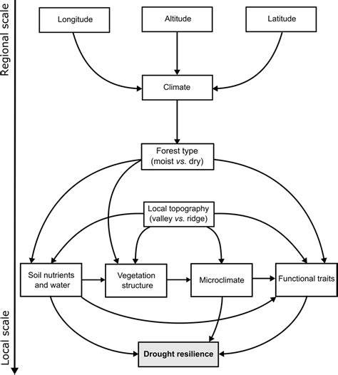 topography abiotic factor