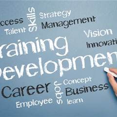 training and development needs