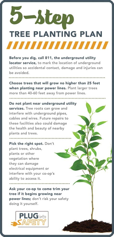 tree planting examples