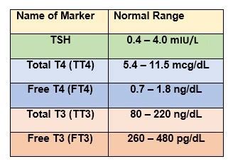 Tsh Levels Chart Female