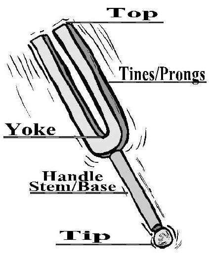 tuning fork name