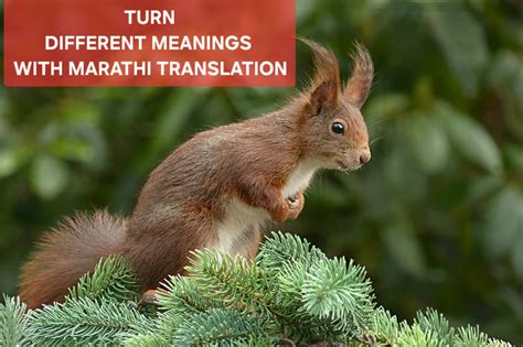 turn back meaning in marathi
