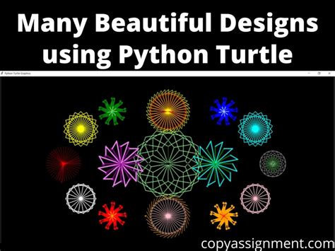 turtle code python copy and paste