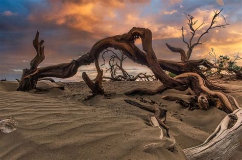 twisted things examples