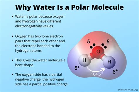 two examples of polar molecules that dissolve easily in water
