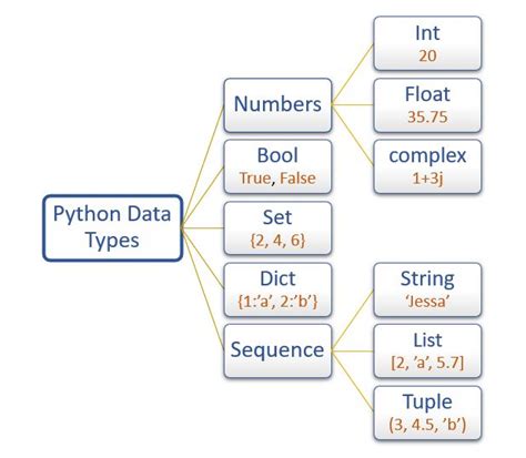 type() in python example