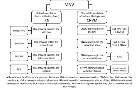 type 1 vs type 2 cnvm