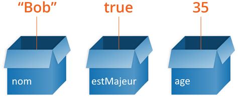 type de variable en programmation