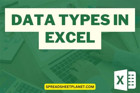type in excel sheet