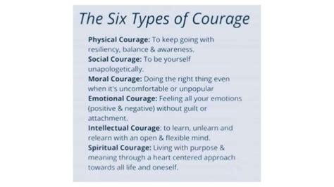 type of courage in civic education