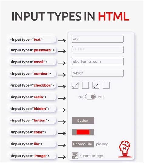 type of input in html