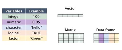 type of variable in r