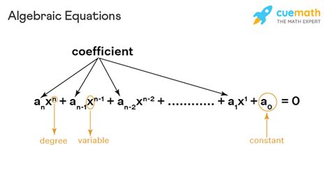 types of algebraic equations with examples