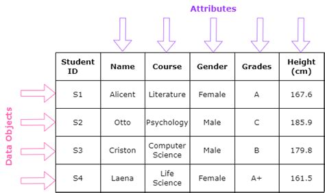 types of attributes in data science