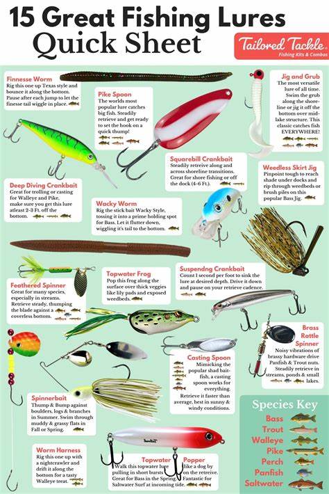 types of bait for fishing