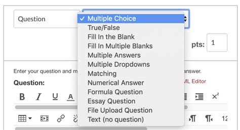 types of canvas quizzes