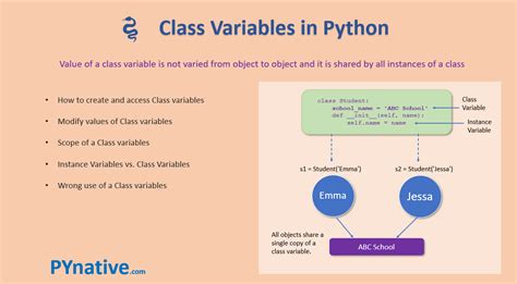 types of class variables in python