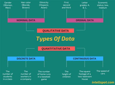 types of data in computer science with examples