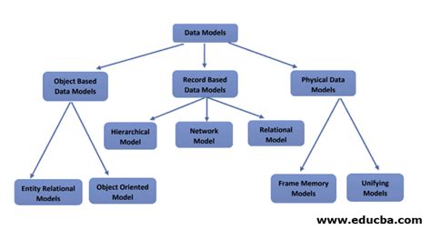 types of data models in dbms with examples