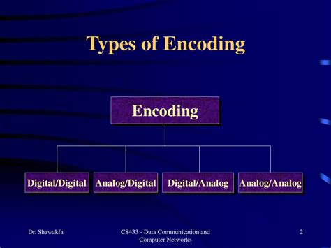 types of encoding techniques in computer networks