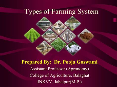types of farming system and explain ppt