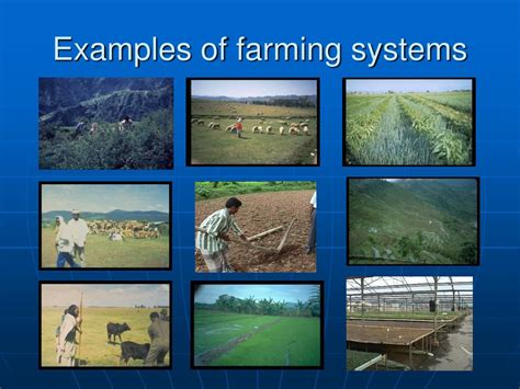 types of farming system and explain with examples ppt