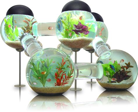 Different types of fish tanks on sale